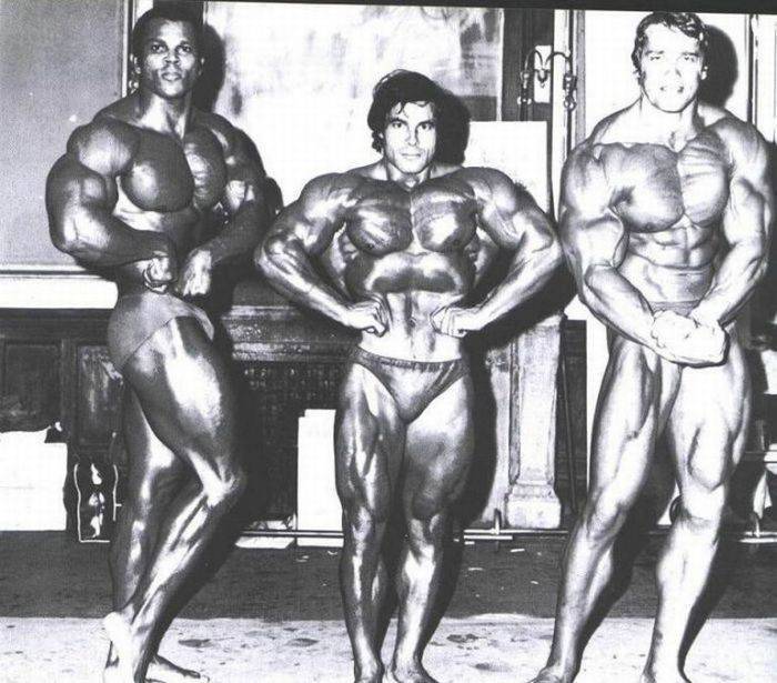 Arnold Schwarzenegger 7