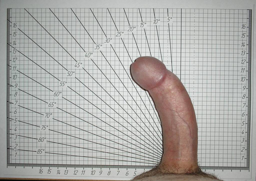 Penis Curve 116