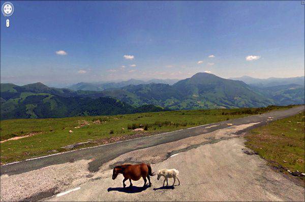 Nietypowe zdjęcia z Google Street View #2 39