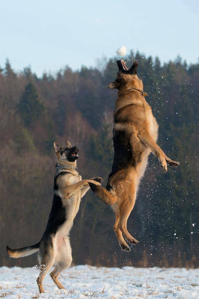 Foto pobudka #1051 13