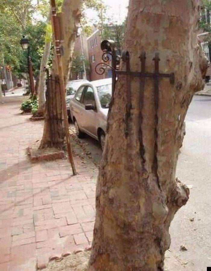Natura zawsze sobie poradzi 21