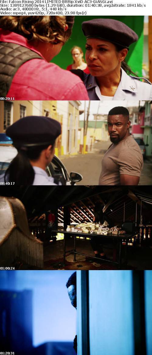 Falcon Rising 2014 LIMITED BRRip XviD AC3-GiANGi Falcon Rising 2014 LIMITED BRRip XviD AC3-GiANGi