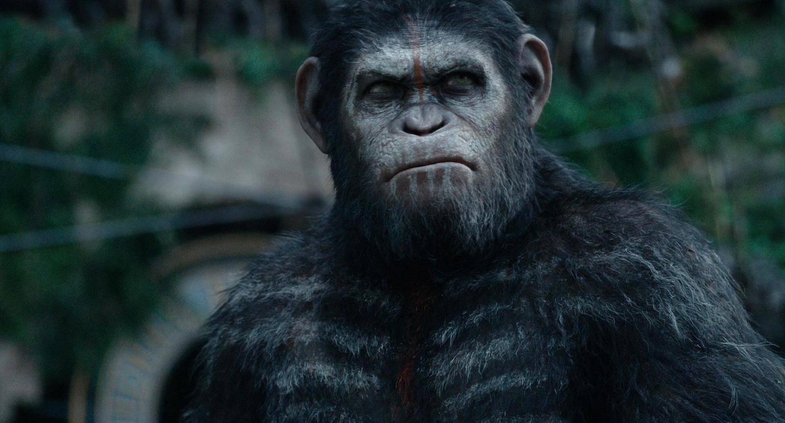 Rise of the Planet of the Apes YIFY subtitles