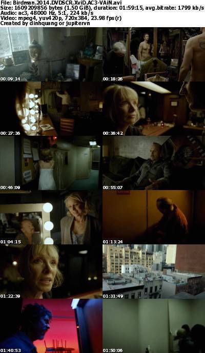 Birdman (2014) DVDSCR XviD AC3-VAiN Birdman (2014) DVDSCR XviD AC3-VAiN