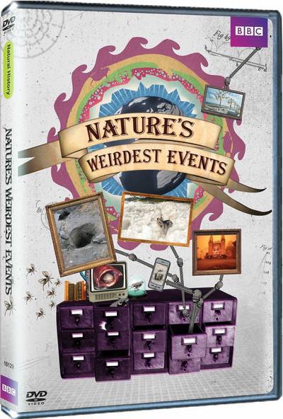 BBC - Nature's Weirdest Events: Series 4 (2015) 720p HDTV x264 AAC-MVGroup BBC - Nature's Weirdest Events: Series 4 (2015) 720p HDTV x264 AAC-MVGroup