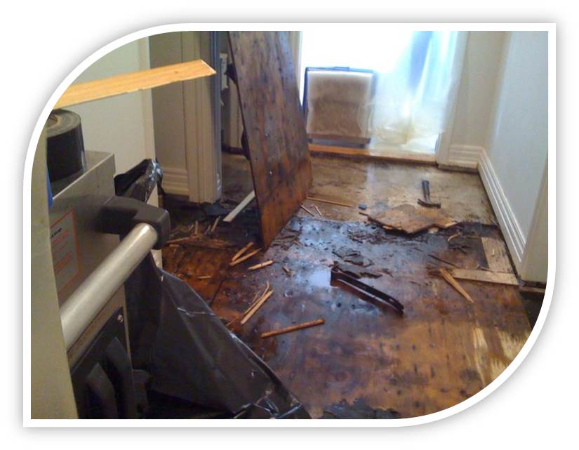 hardwood floors san jose