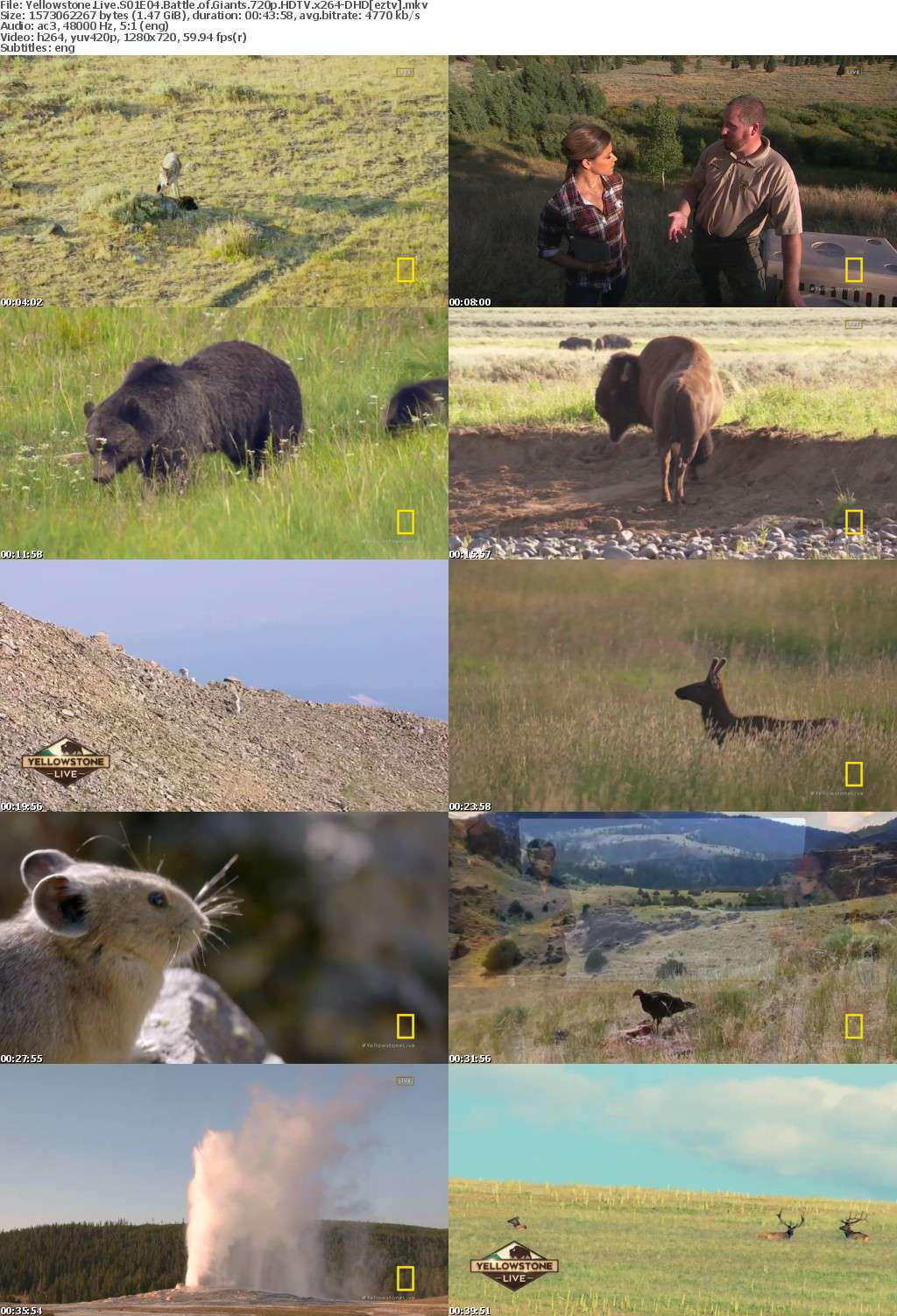 Yellowstone Live S01E04 Battle of Giants 720p HDTV x264-DHD Yellowstone Live S01E04 Battle of Giants 720p HDTV x264-DHD