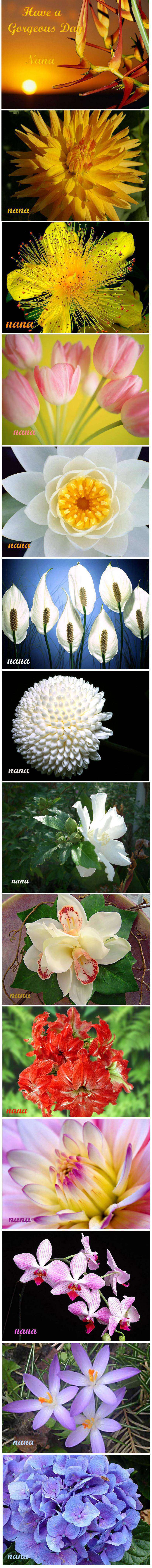 Image Hosted by UploadHouse.com