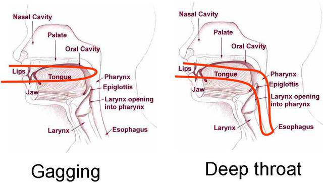 Deep throat specialist