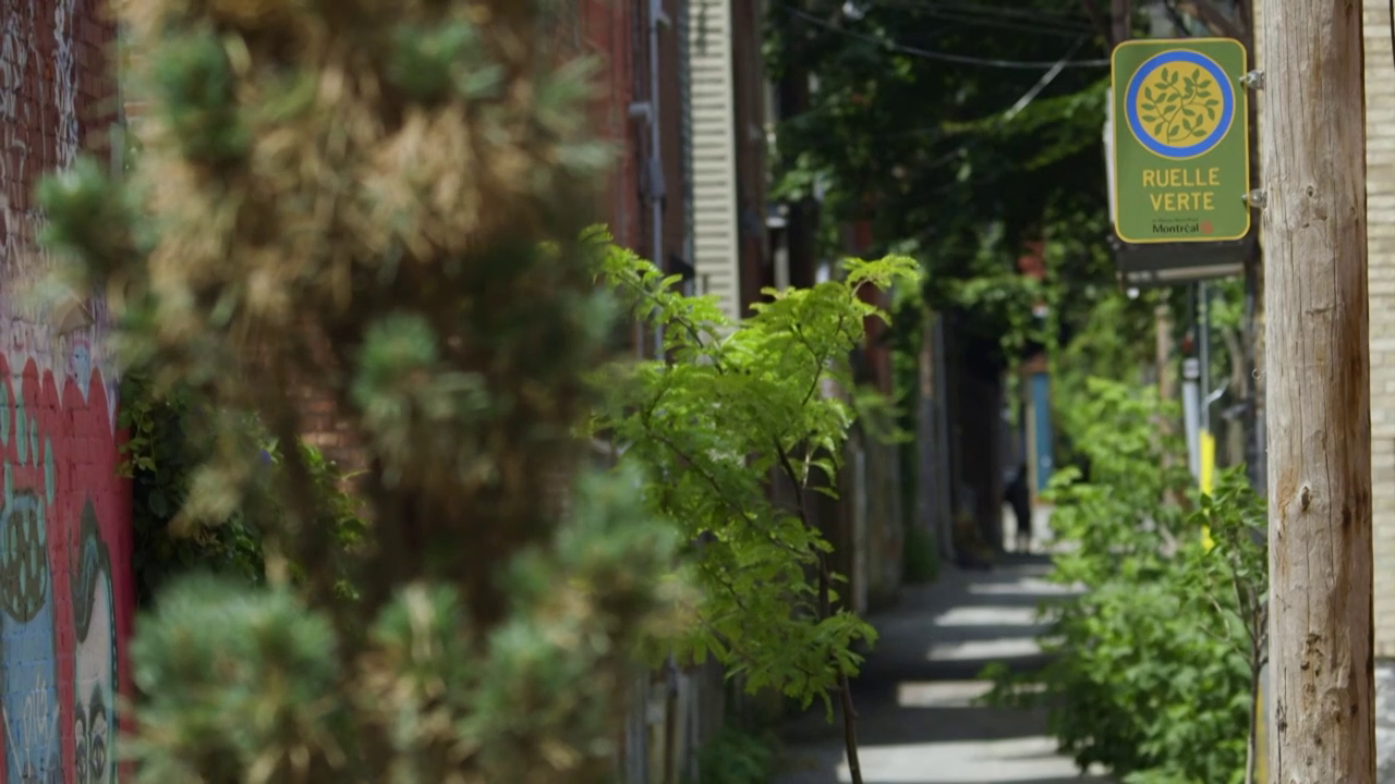 Samantha Browns Places To Love S01E12 Montreal Canada PBS 720p WEB-DL AAC2 0 H 264 Samantha Browns Places To Love S01E12 Montreal Canada PBS 720p WEB-DL AAC2 0 H 264