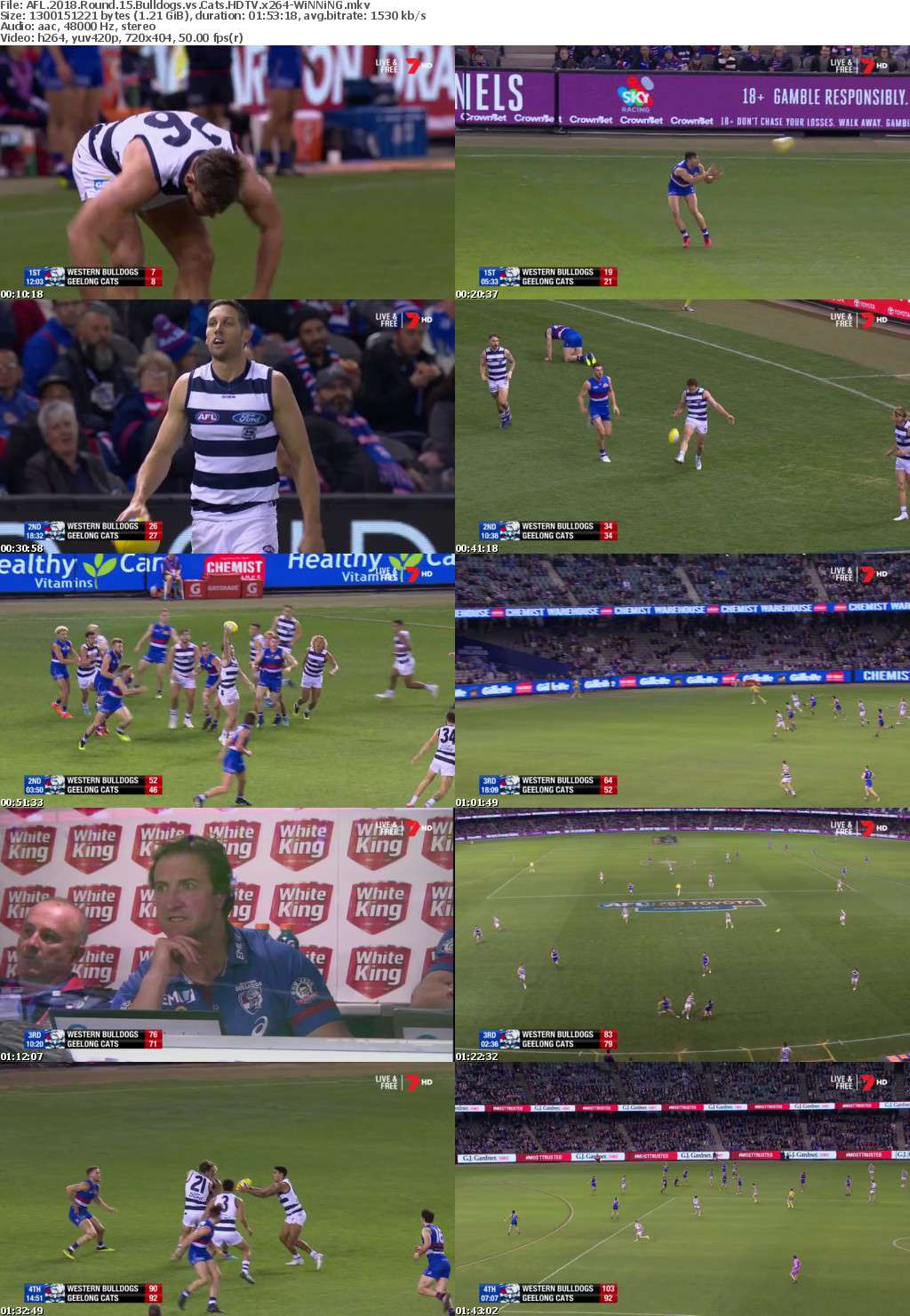 AFL 2018 Round 15 Bulldogs vs Cats HDTV x264-WiNNiNG AFL 2018 Round 15 Bulldogs vs Cats HDTV x264-WiNNiNG