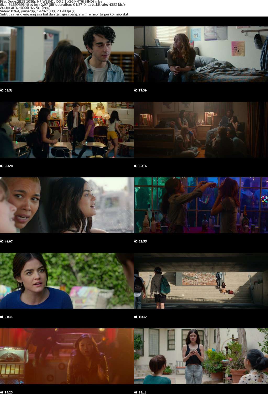 Dude (2018) 1080p NF WEB-DL DD5.1 x264-NTG