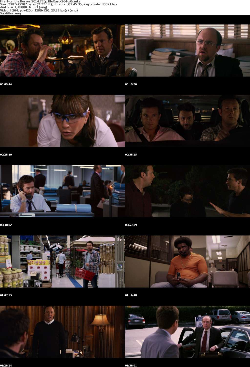 Horrible Bosses 2 (2014) 720p BluRay x264-x0r