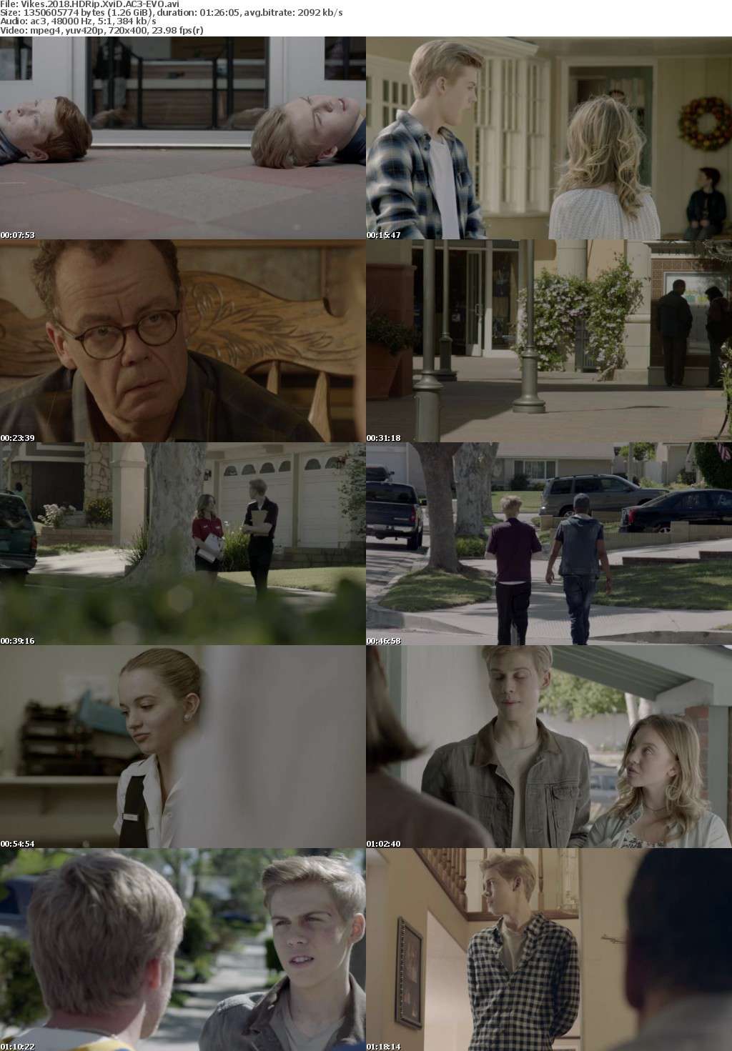 Vikes 2018 HDRip XviD AC3-EVO Vikes 2018 HDRip XviD AC3-EVO