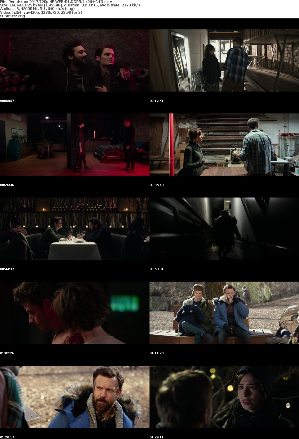 Permission (2017) 720p NF WEB-DL DDP5.1 x264-NTG