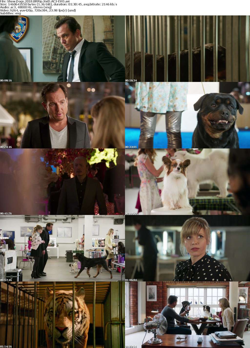 Show Dogs (2018) BRRip XviD AC3-EVO