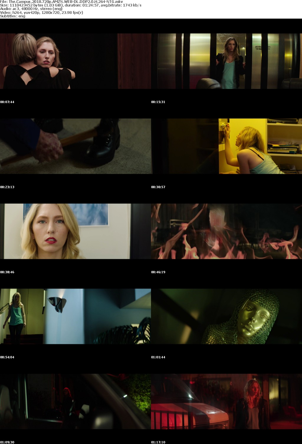 - The Campus 2018 720p AMZN WEB-DL DDP2 0 H 264-NTG