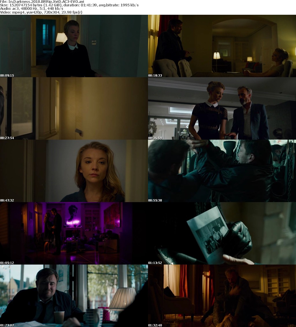 In Darkness (2018) BRRip XviD AC3-EVO