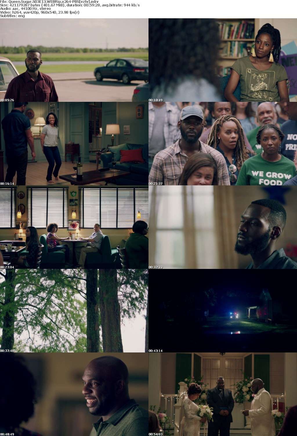 Queen Sugar S03E13 WEBRip x264-PBS