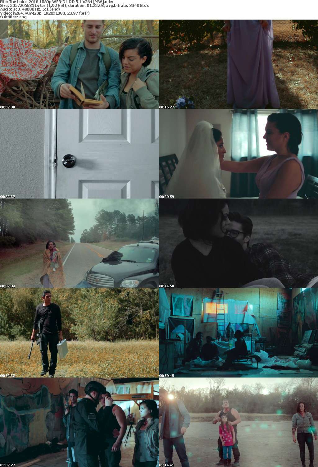 The Lotus (2018) 1080p WEB-DL DD 5.1 x264 MW