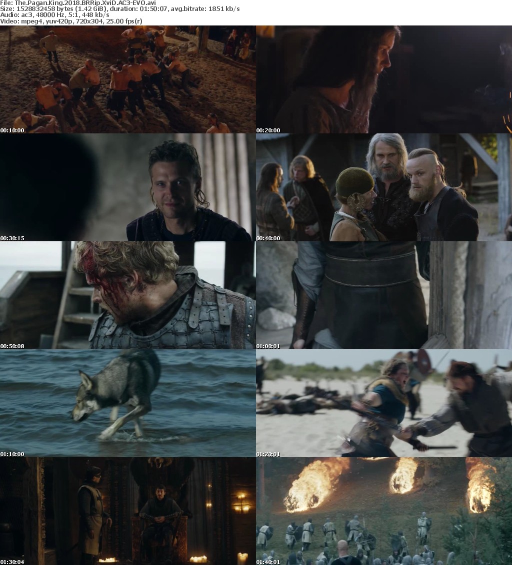 The Pagan King (2018) BRRip XviD AC3-EVO