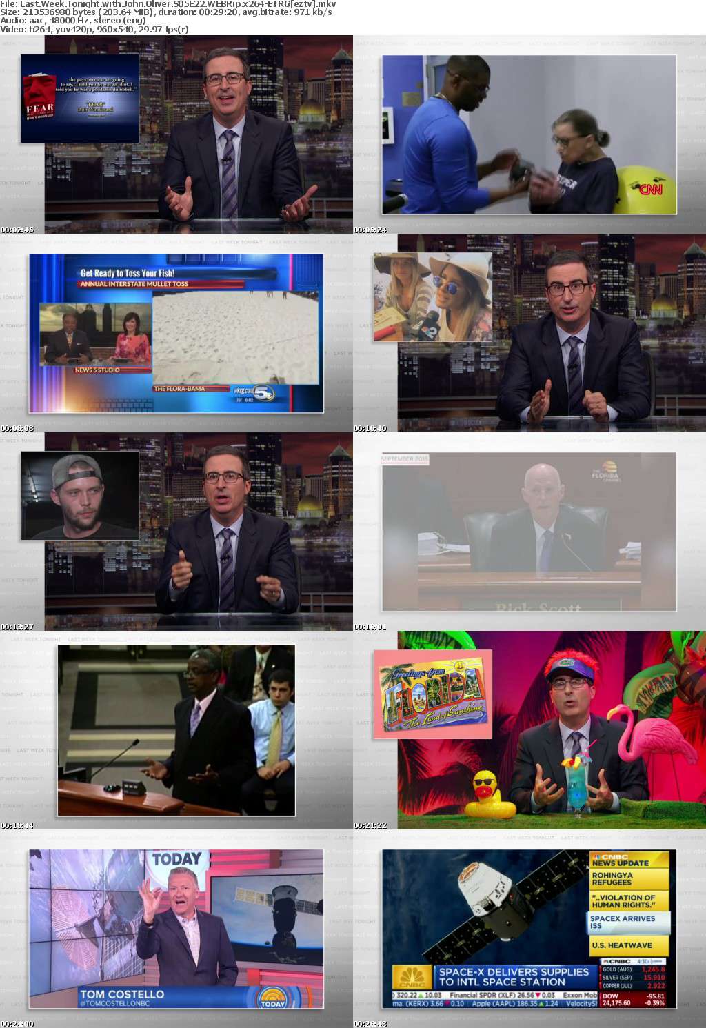 Last Week Tonight with John Oliver S05E22 WEBRip x264-ETRG