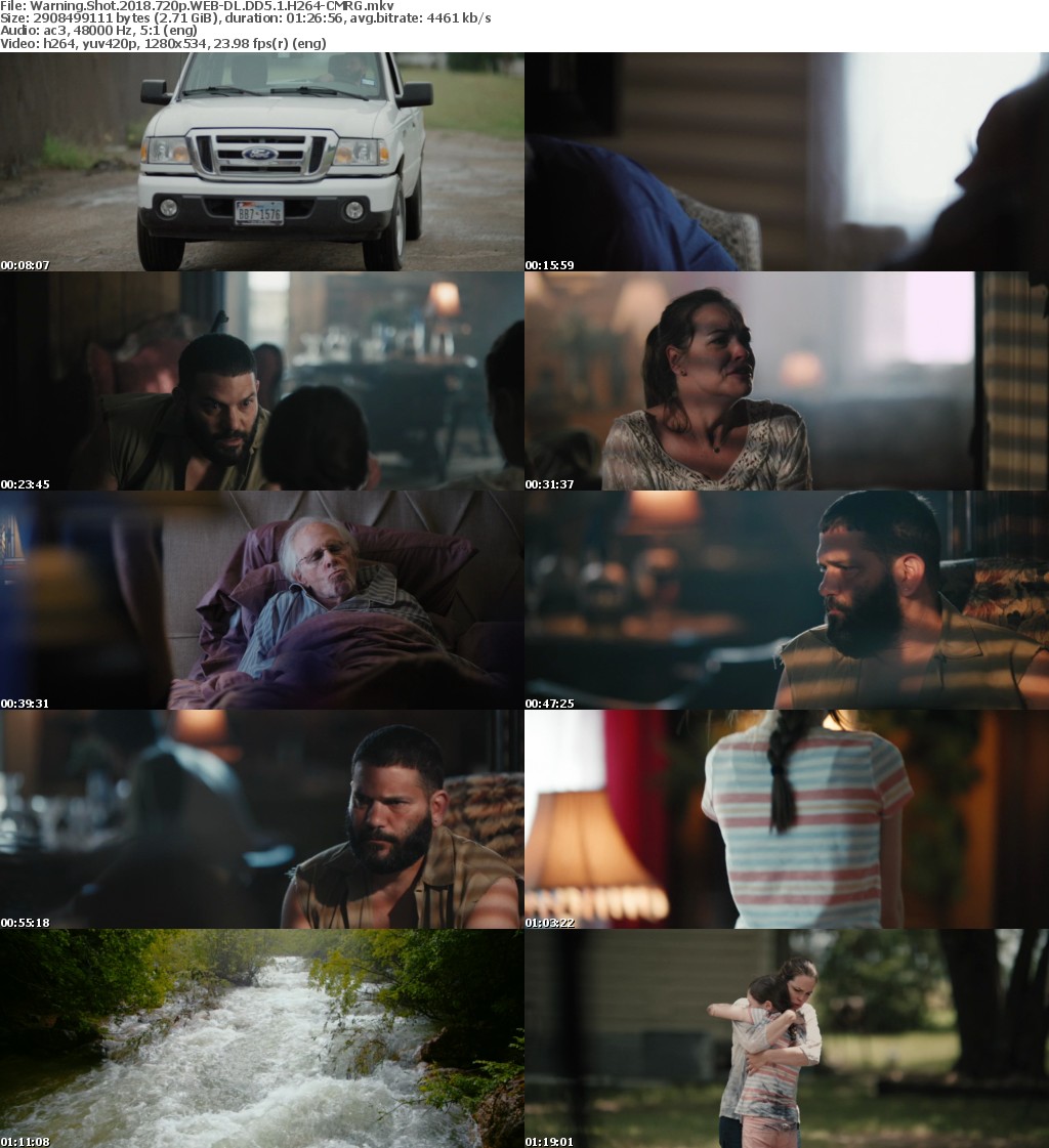 Warning Shot (2018) 720p WEB-DL DD5.1 H264-CMRG