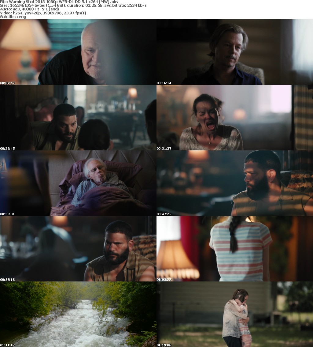 Warning Shot (2018) 1080p WEB-DL DD 5.1 x264 MW