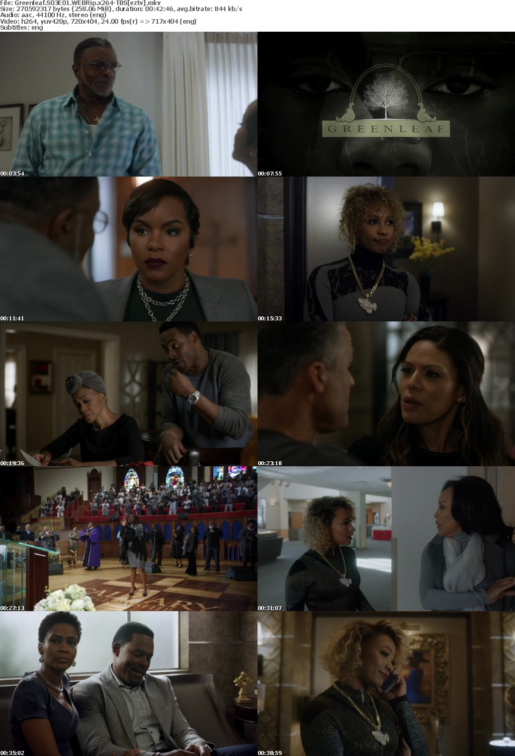 Greenleaf S03E01 WEBRip x264-TBS