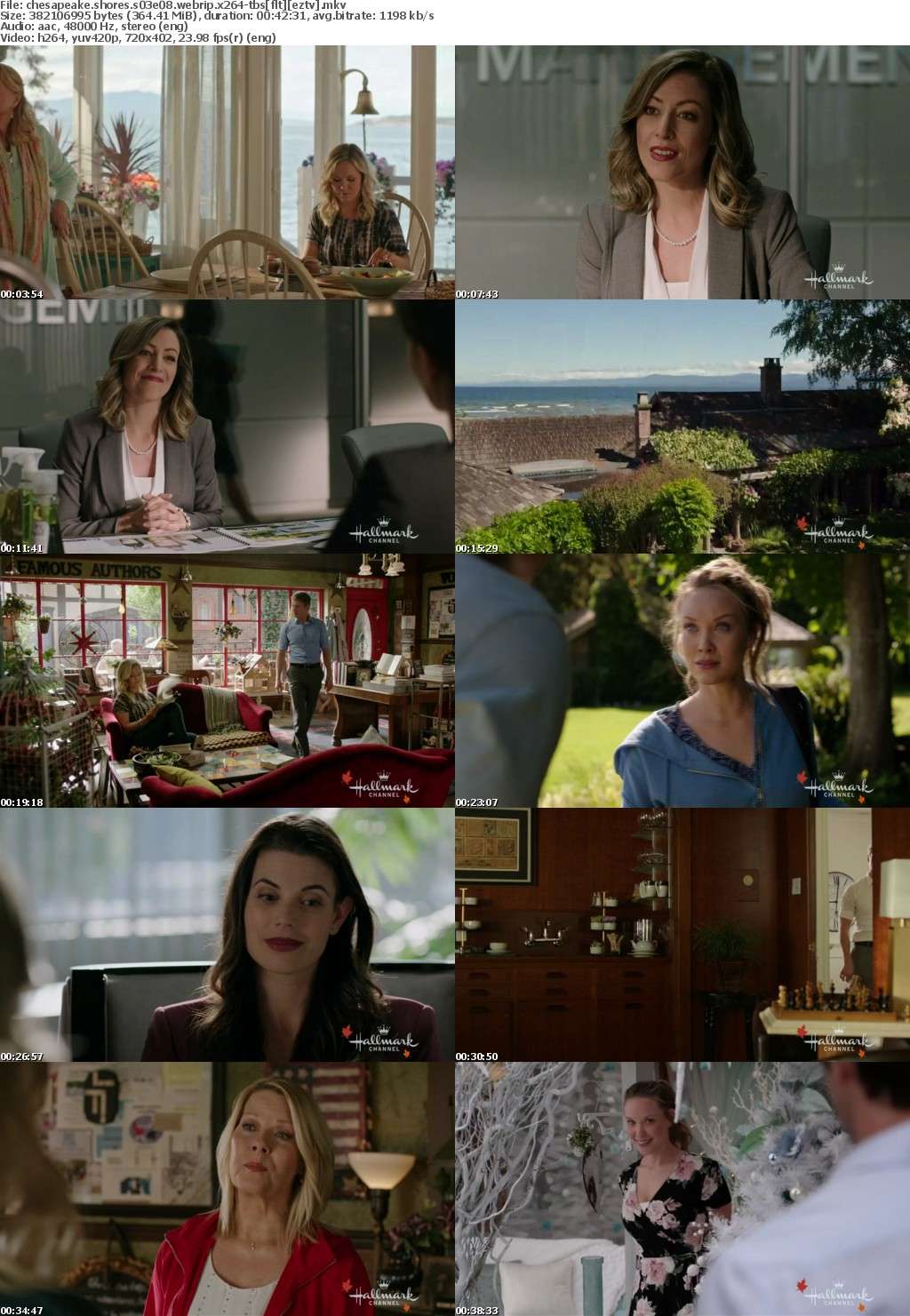 chesapeake shores s03e08 webrip x264-tbsflt