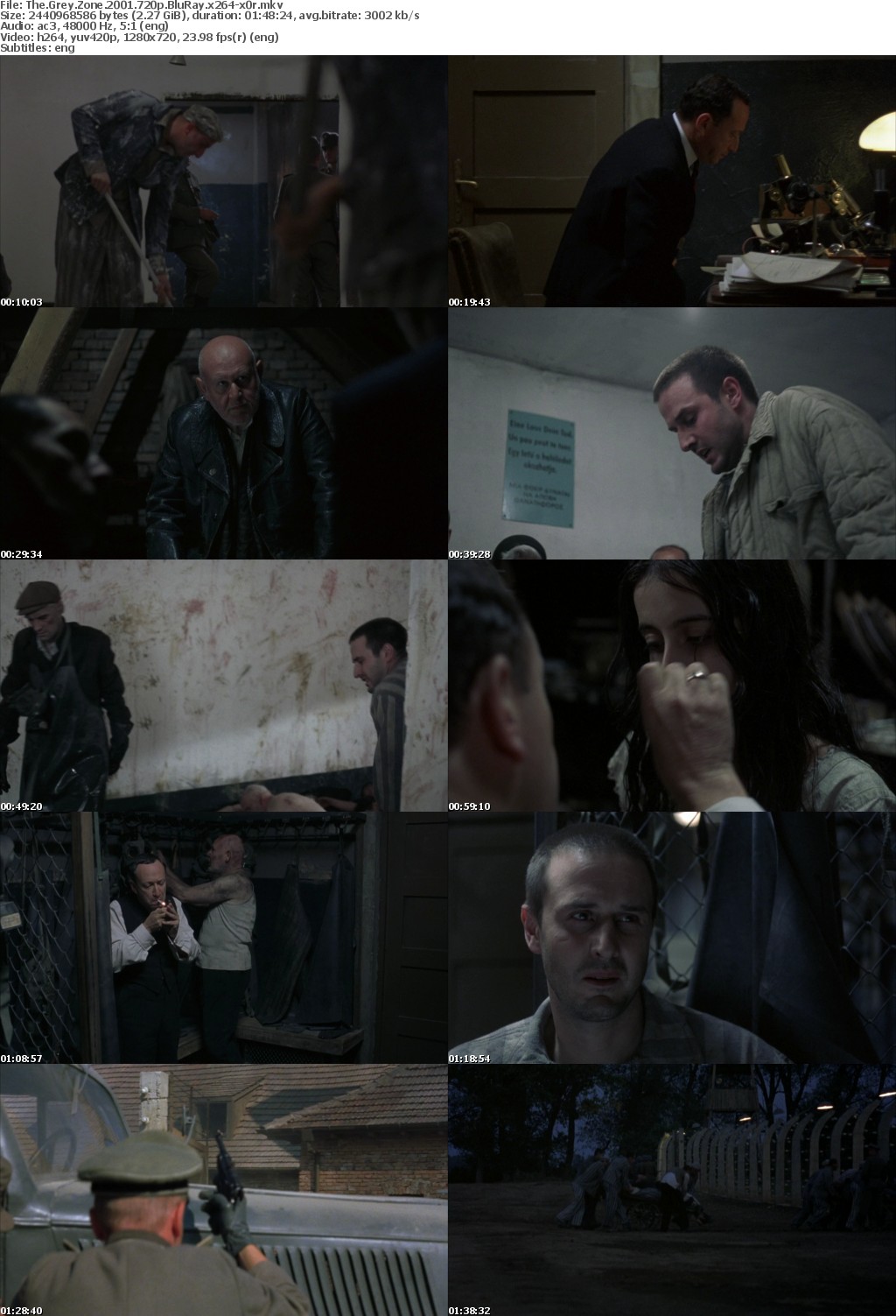 The Grey Zone (2001) 720p BluRay x264-x0r