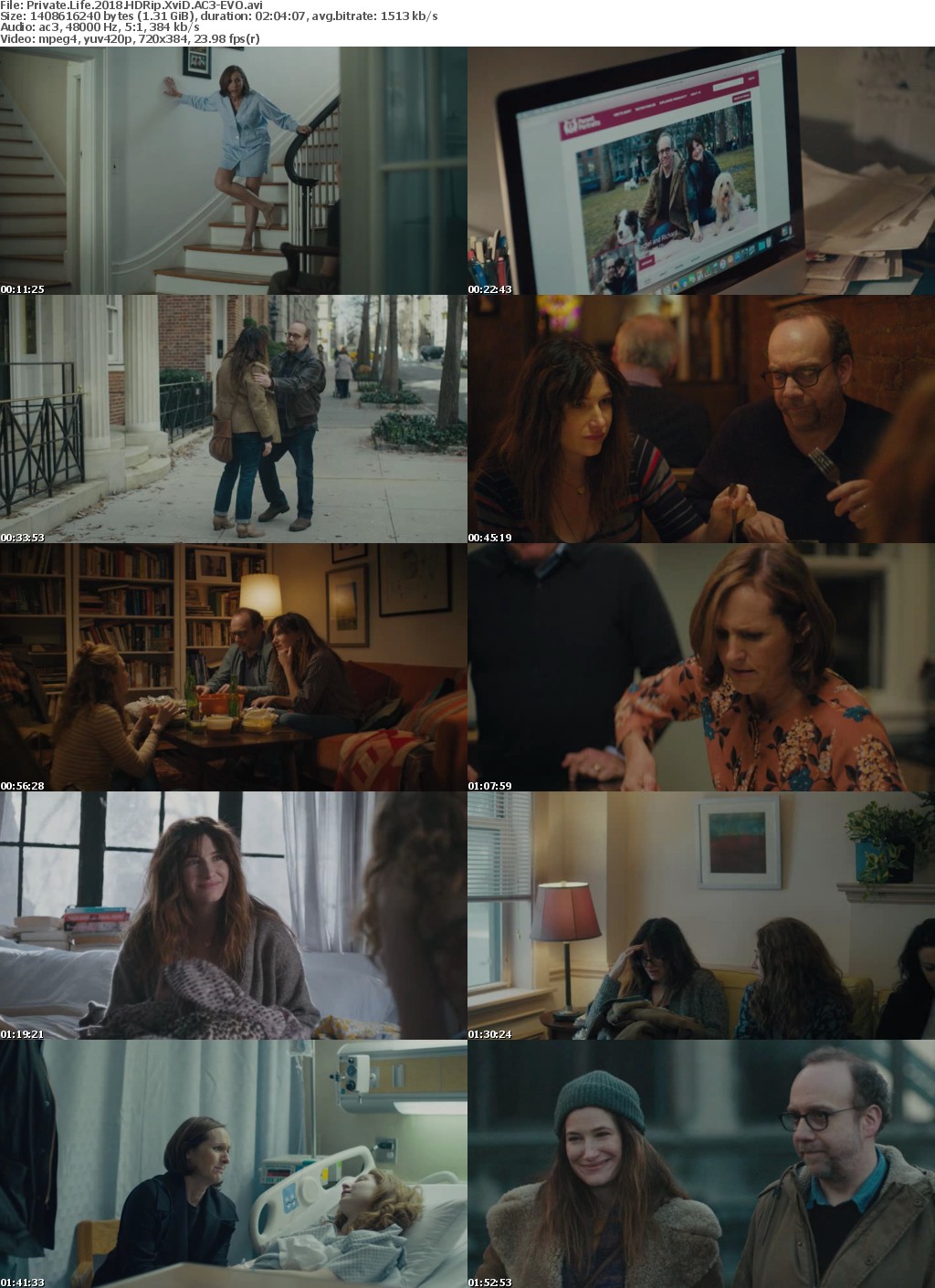 Private Life (2018) HDRip XviD AC3-EVO