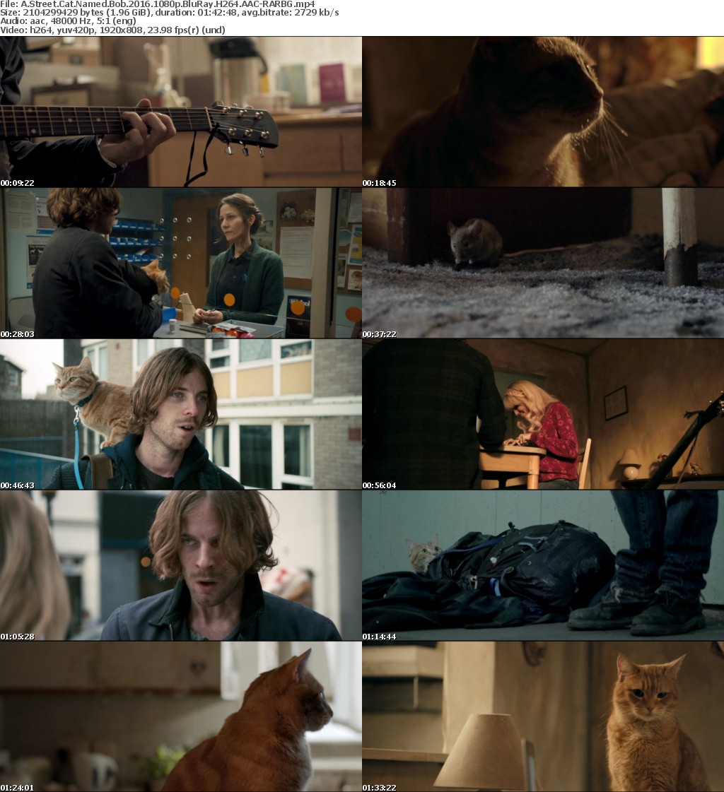 A Street Cat Named Bob (2016) 1080p BluRay H264 AAC-RARBG