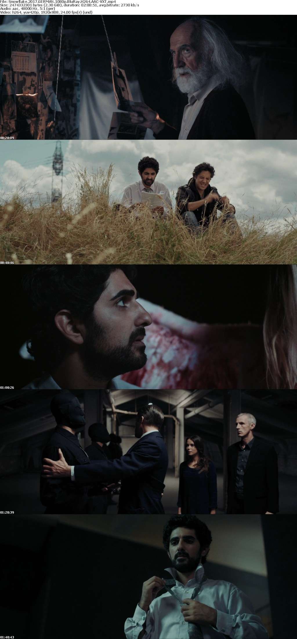 Snowflake 2017 GERMAN 1080p BluRay H264 AAC-VXT Snowflake 2017 GERMAN 1080p BluRay H264 AAC-VXT