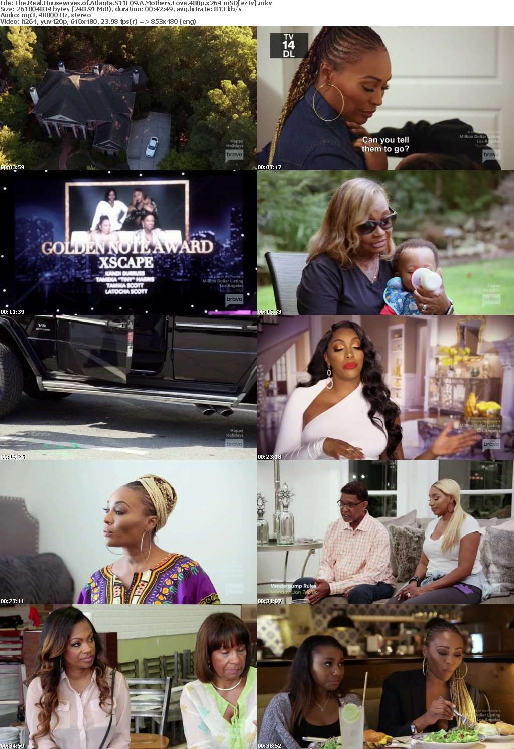 The Real Housewives of Atlanta S11E09 A Mothers Love 480p x264-mSD