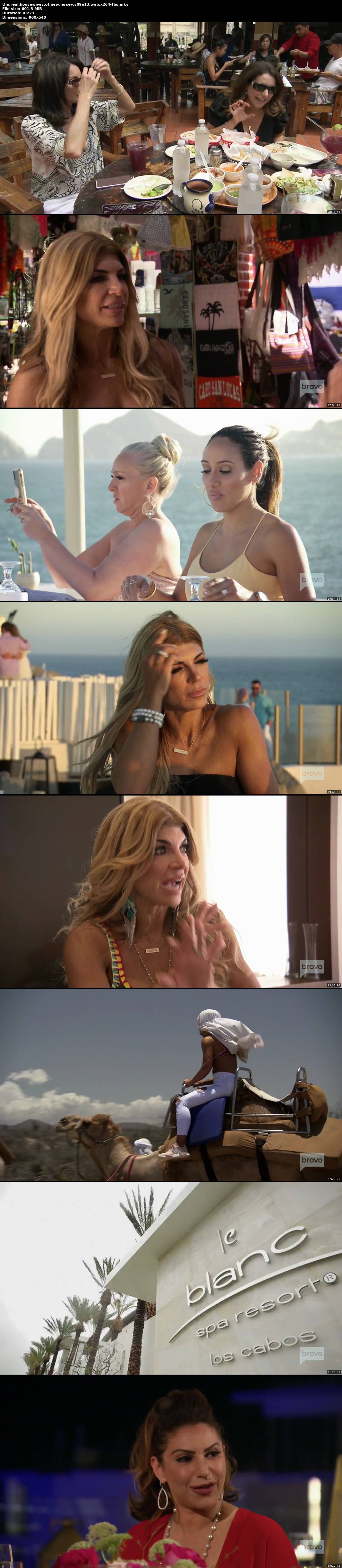 the real housewives of new jersey s09e13