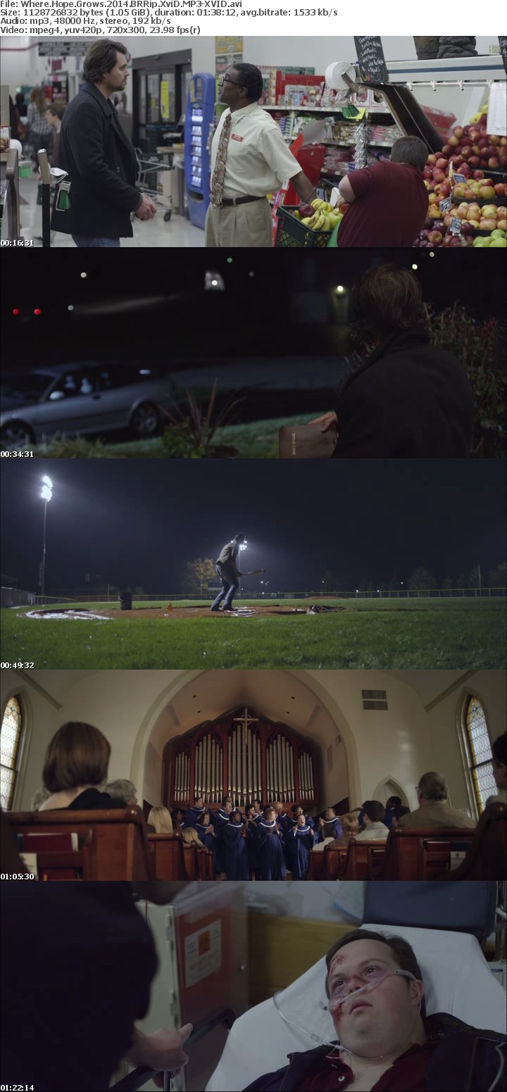 Where Hope Grows 2014 BRRip XviD MP3-XVID Where Hope Grows 2014 BRRip XviD MP3-XVID