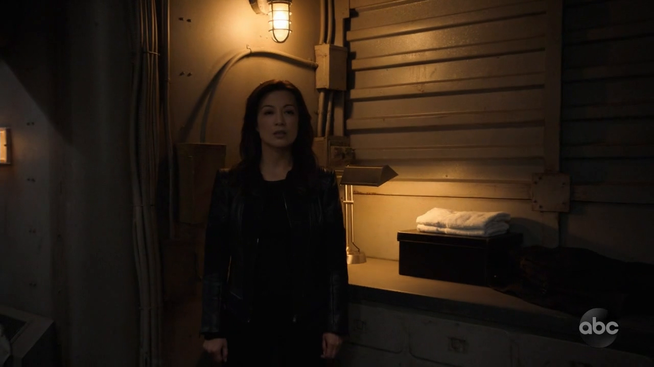 Marvels Agents of S H I E L D S06E10 720p HDTV x264-AVS Marvels Agents of S H I E L D S06E10 720p HDTV x264-AVS