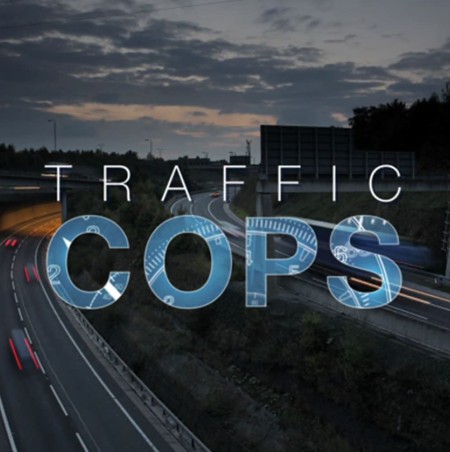 All New Traffic Cops S05E00 Manhunt 480p x264-mSD