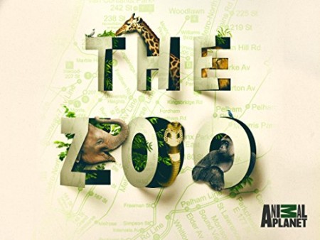 The Zoo US S04E07 Velcro the Incredible 480p x264-mSD