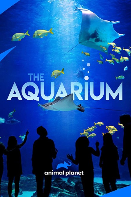 The Aquarium S02E00 Whisper Gives Birth iNTERNAL WEB h264-ROBOTS