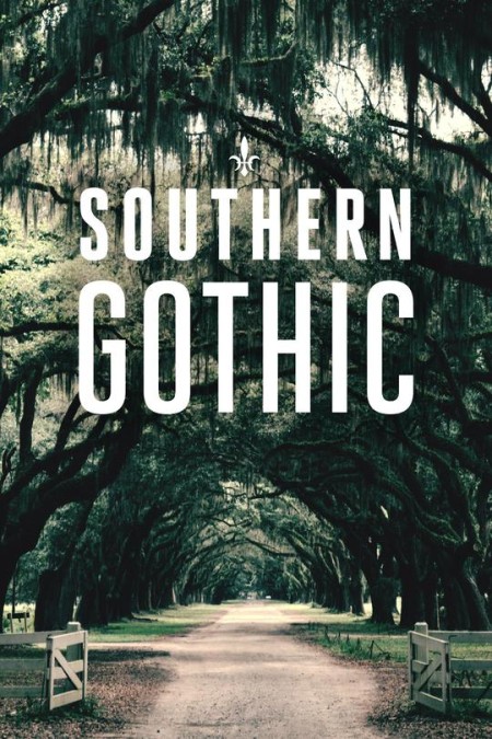 Southern Gothic S01E06 Who Killed Katie Autry iNTERNAL 480p x264-mSD