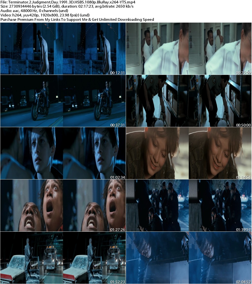 Terminator 2 Judgment Day (1991) 3D HSBS 1080p BluRay x264-YTS