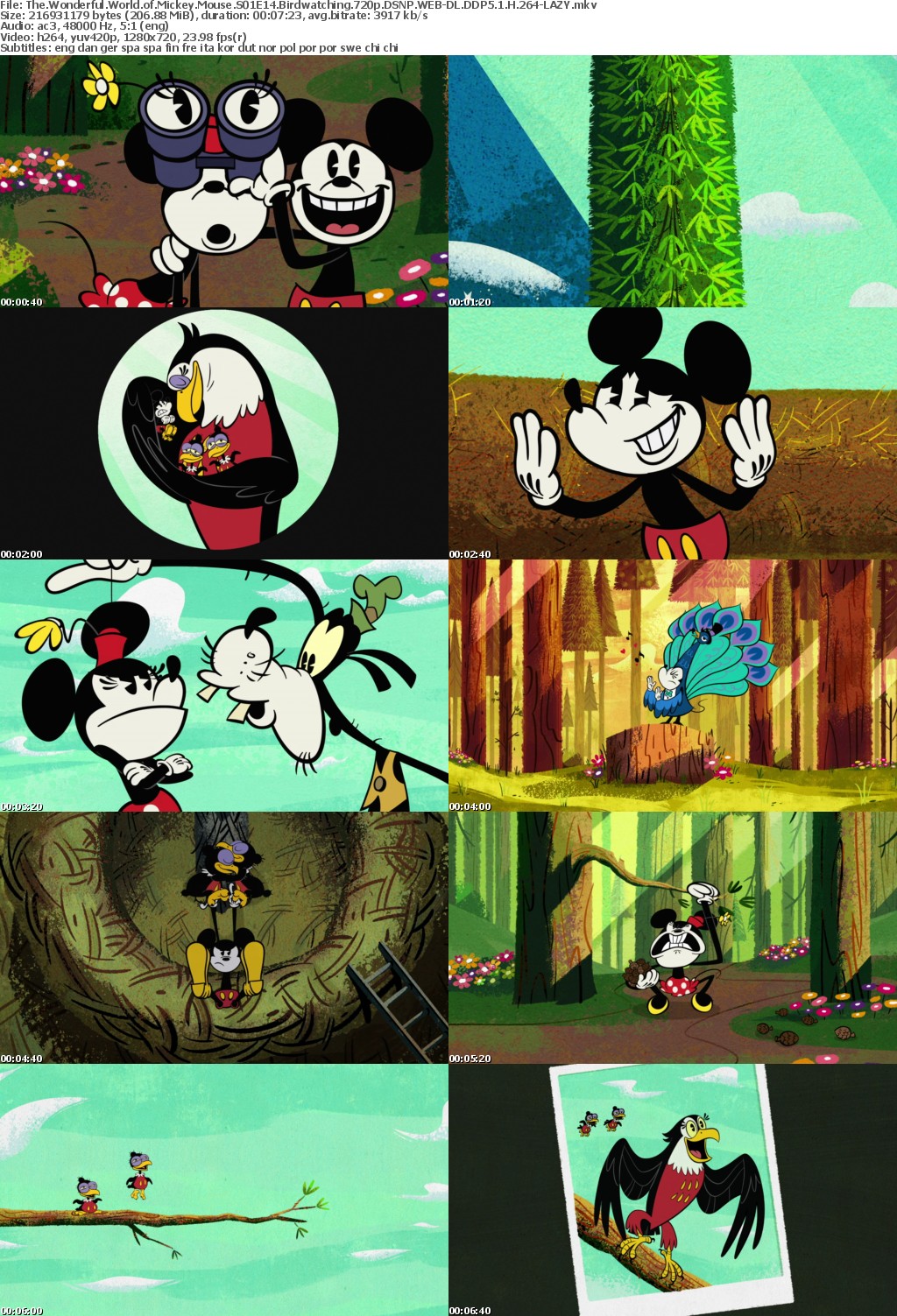 The Wonderful World of Mickey Mouse S01E14 Birdwatching 720p DSNP WEBRip DDP5 1 x264-LAZY