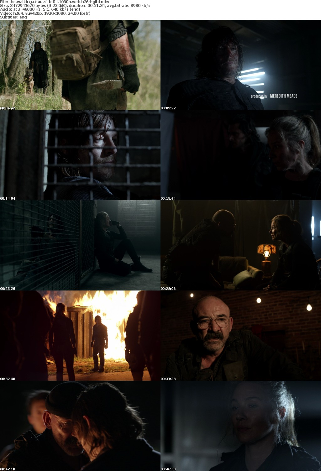 The Walking Dead S11E04 1080p WEB H264-GLHF
