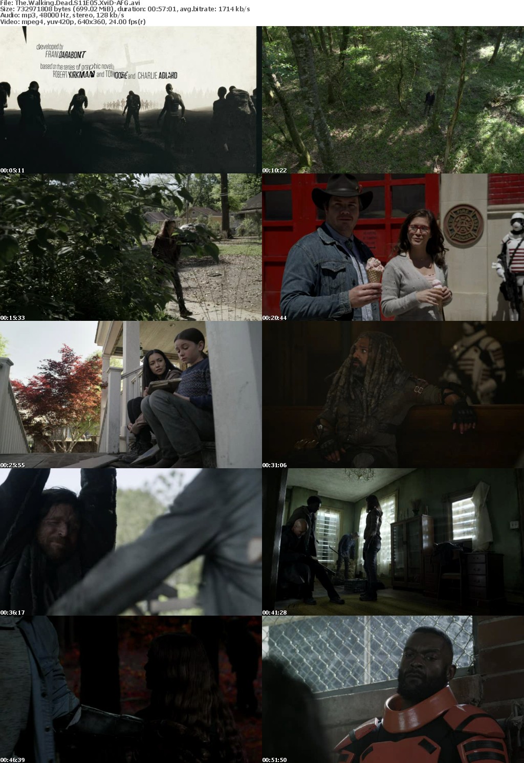 The Walking Dead S11E05 XviD-AFG