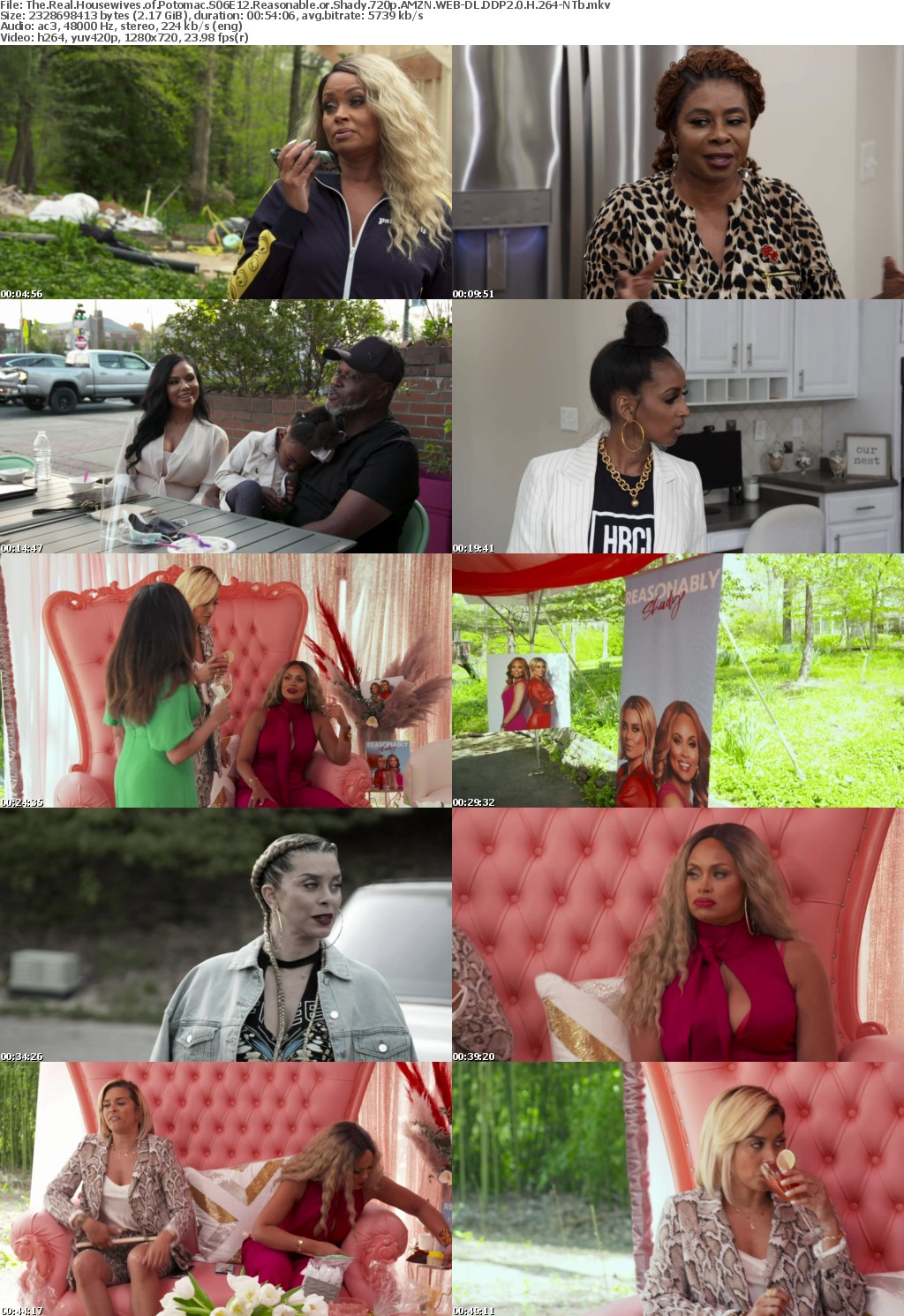 The Real Housewives of Potomac S06E12 Reasonable or Shady 720p AMZN WEBRip DDP2 0 x264-NTb