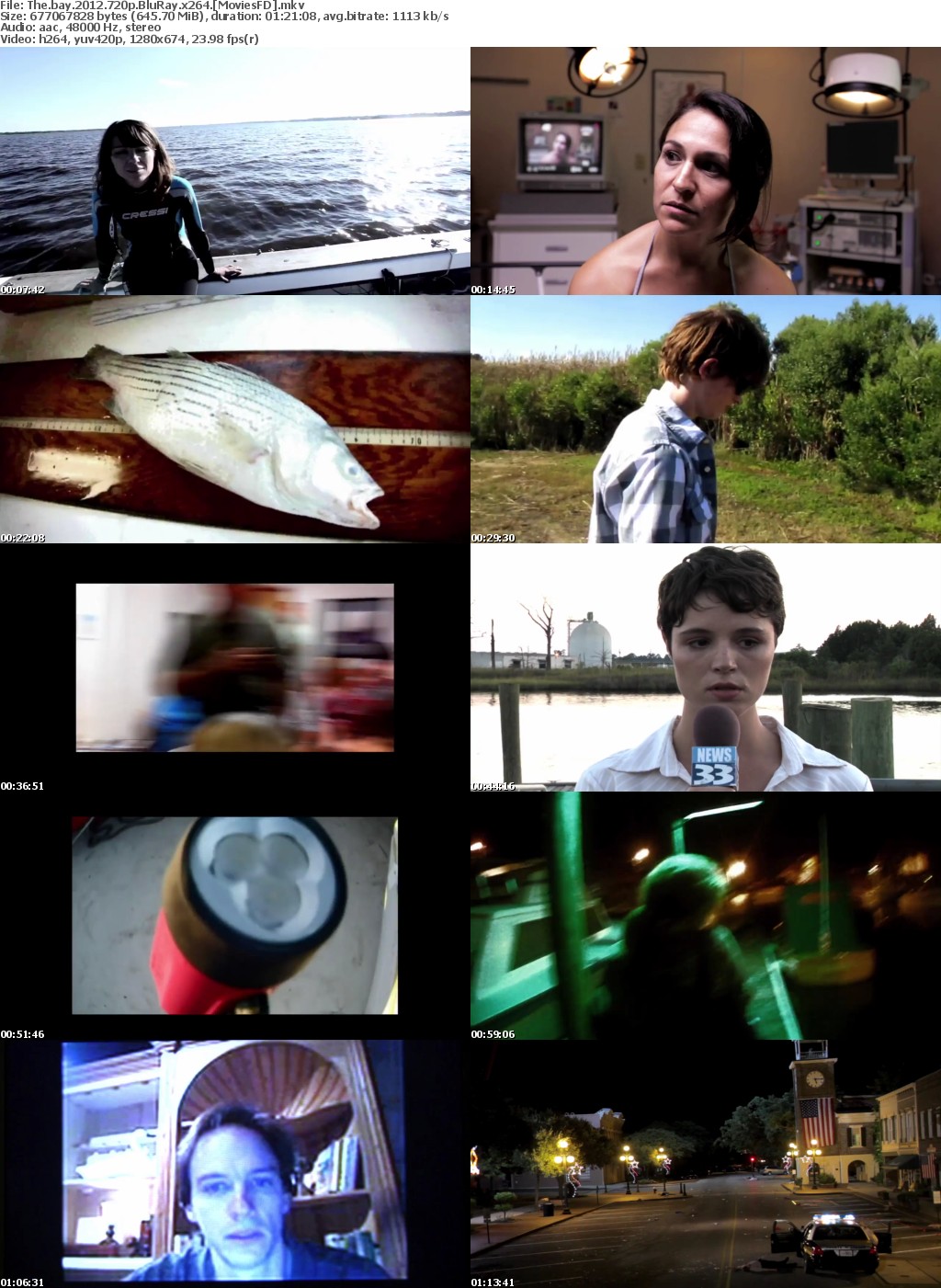The Bay (2012) 720p BluRay x264 - MoviesFD