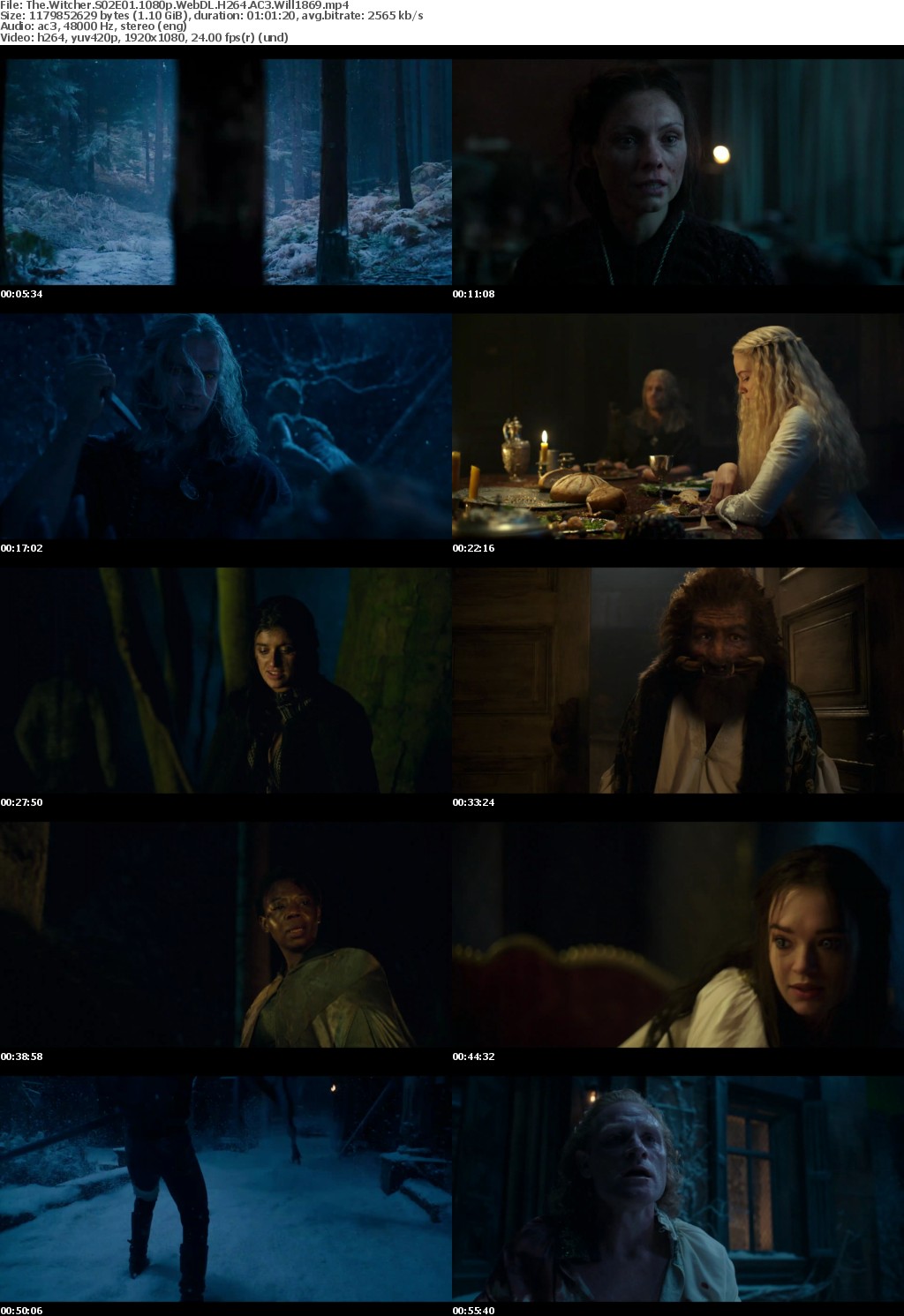 The Witcher S02E01 1080p WebDL H264 AC3 Will1869