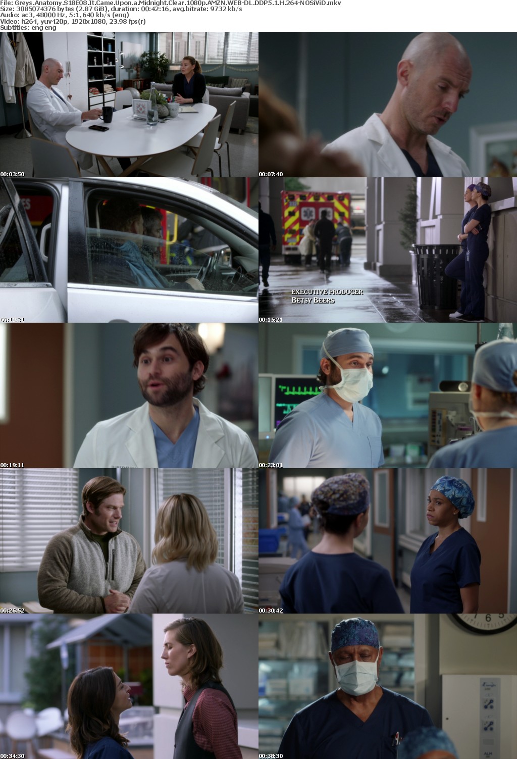 Greys Anatomy S18E08 It Came Upon a Midnight Clear 1080p AMZN WEBRip DDP5 1 x264-NOSiViD